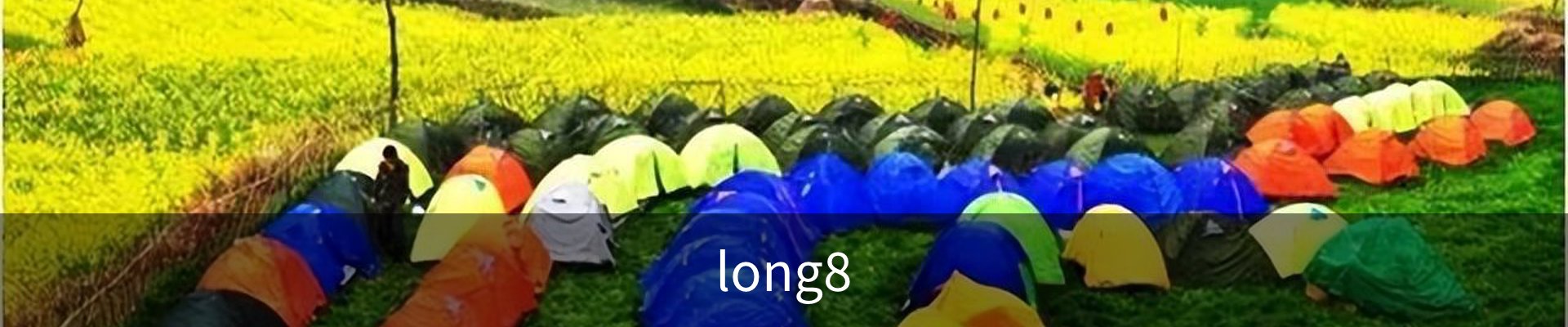 long8